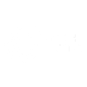 10. GOETHE BLANCO (1)