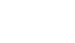 18. COMISION DE LA VERDAD_BLANCO