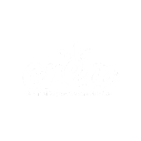 19. CREA_BLANCO