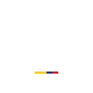 2. CULTURAS BLANCO