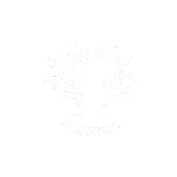 37. MEDUSA_BLANCO-04 (1)