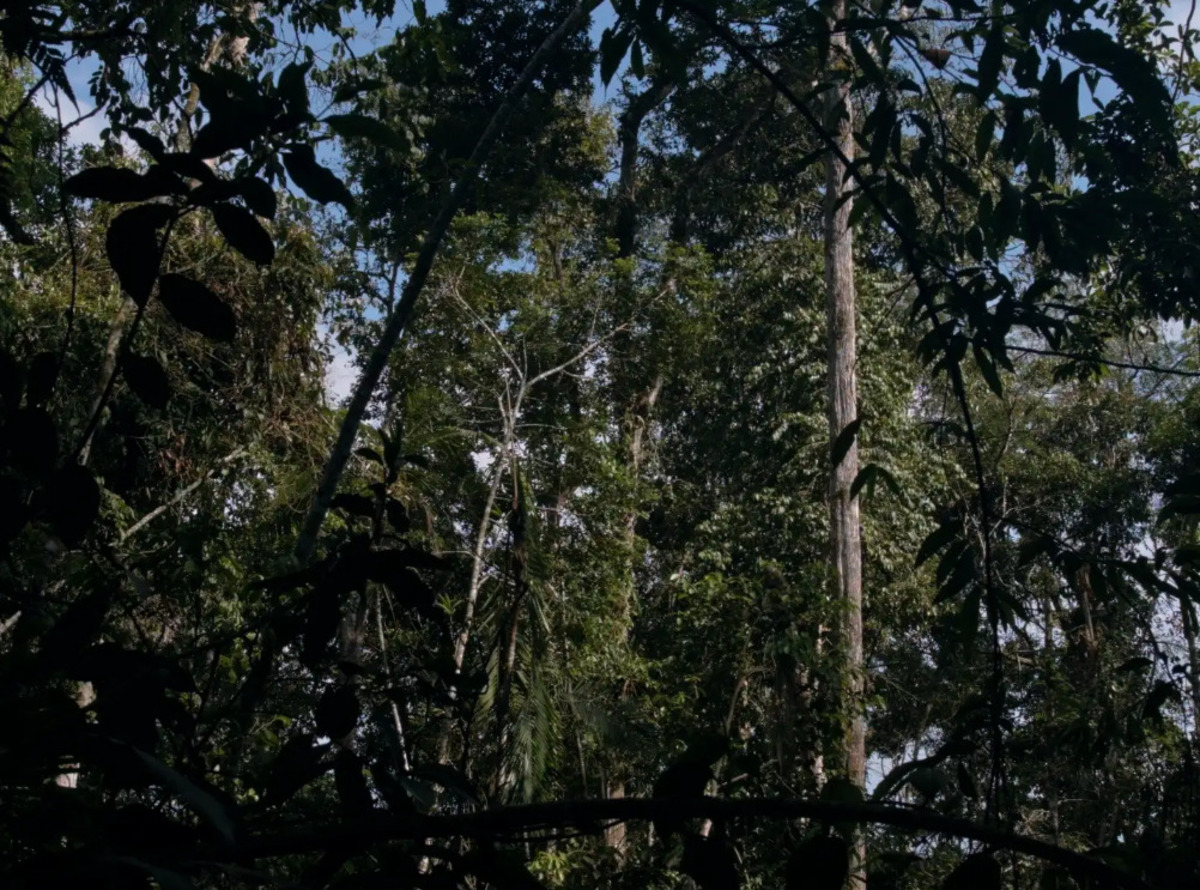 Imagen de la película