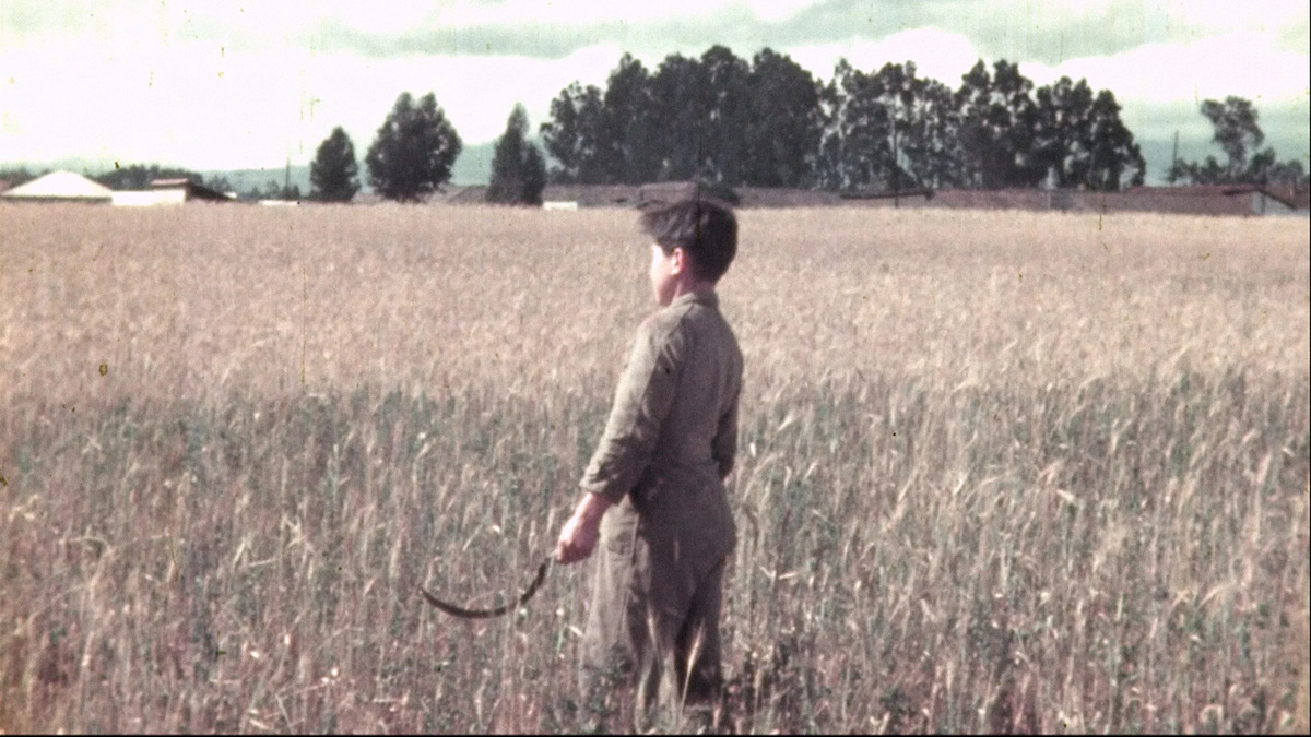 Imagen de la película