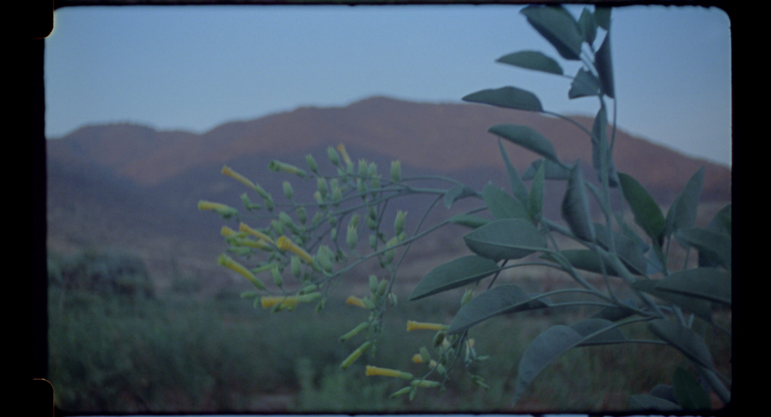 Imagen de la película