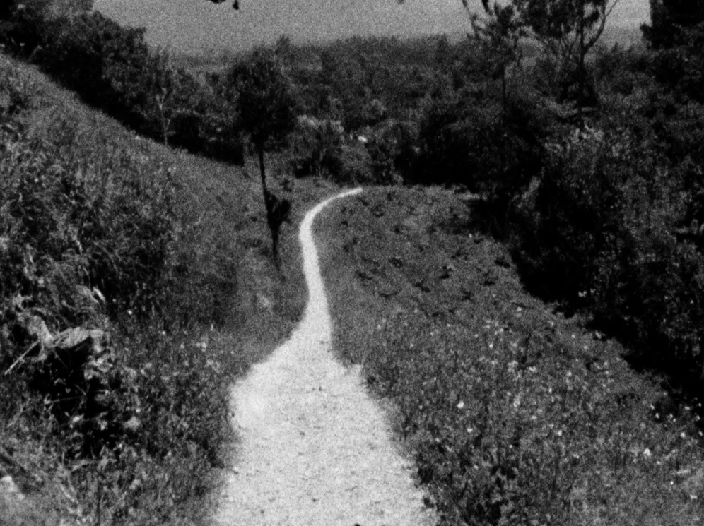 Imagen de la película