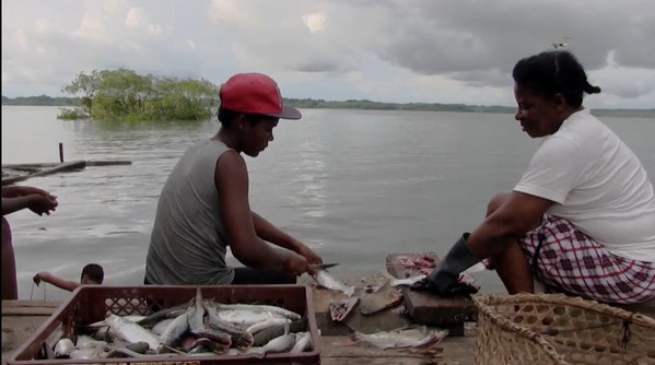 Imagen de la película