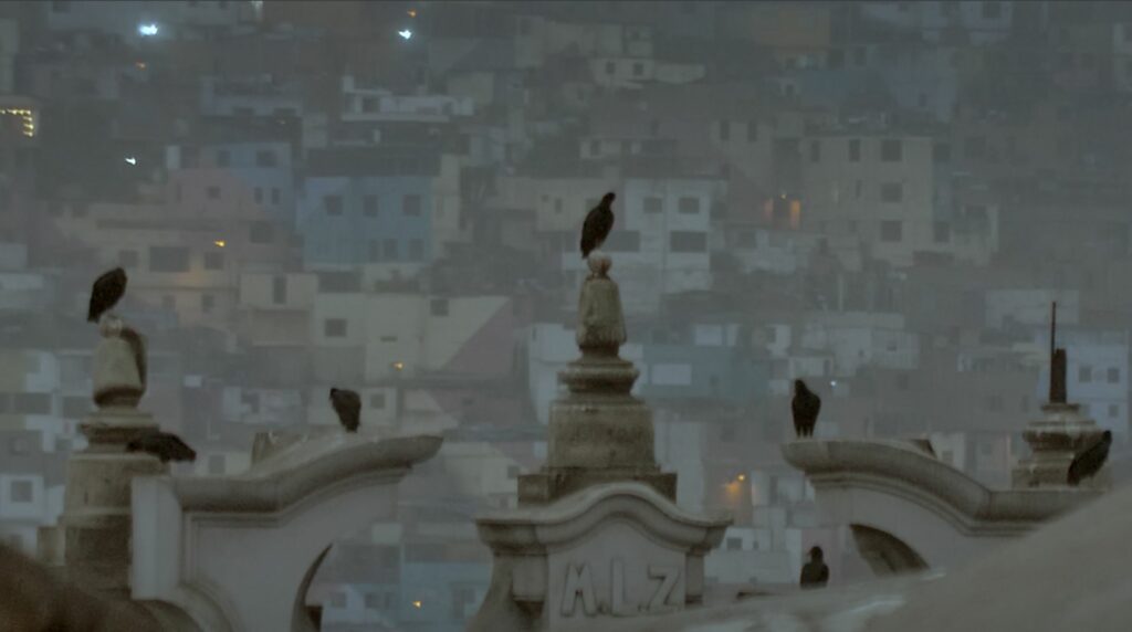 El coloquio de los pájaros