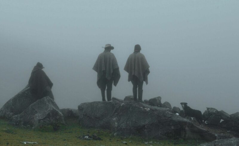 Sombras en la niebla