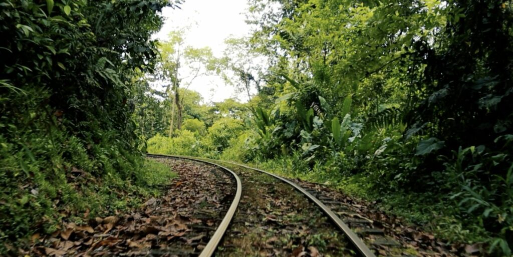 Ubuntú: la métrica de los afectos