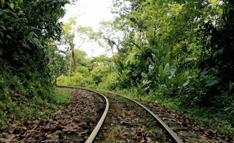 Ubuntú: la métrica de los afectos