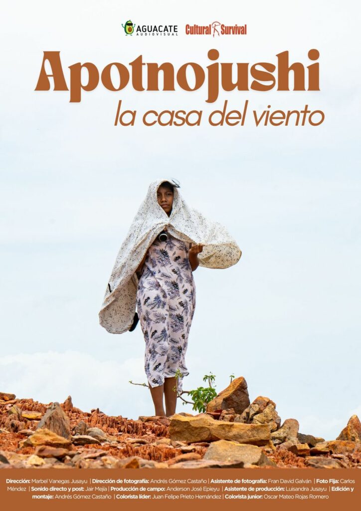 Afiche de Apotnojushi: la casa del viento
