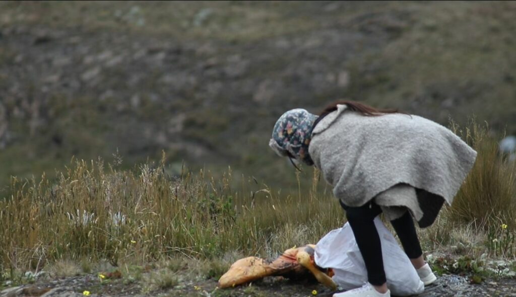 El espíritu de los Andes