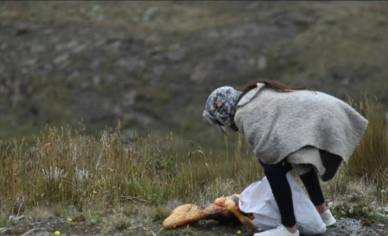 El espíritu de los Andes