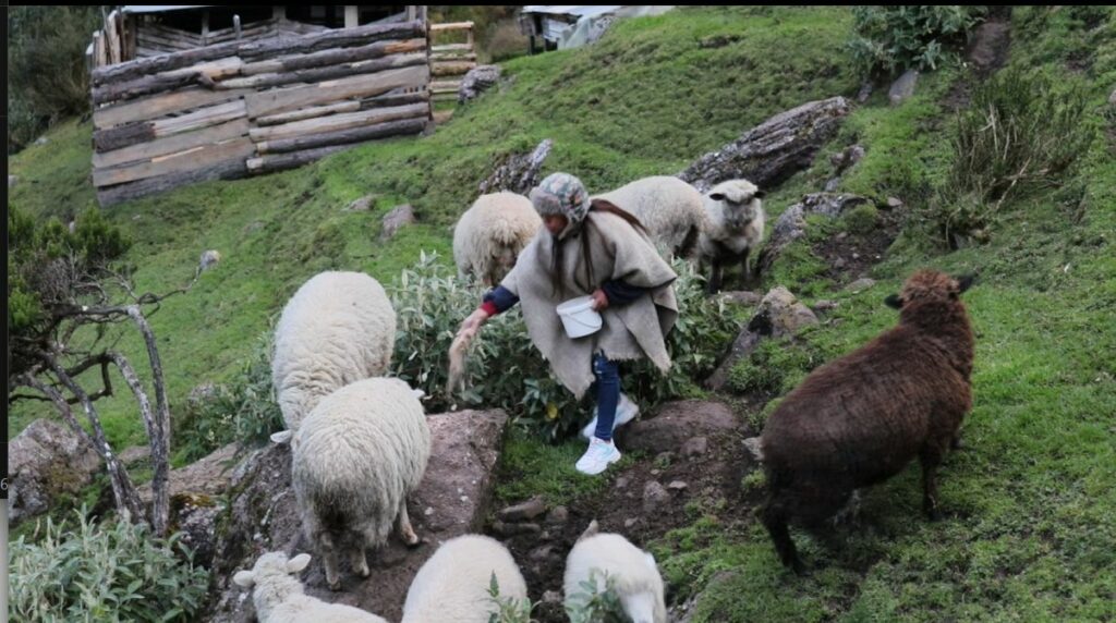 El espíritu de los Andes