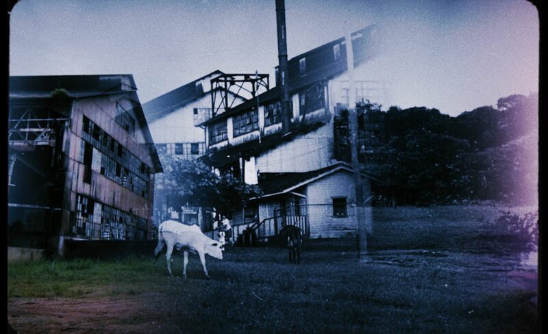 Fordlândia Panacea