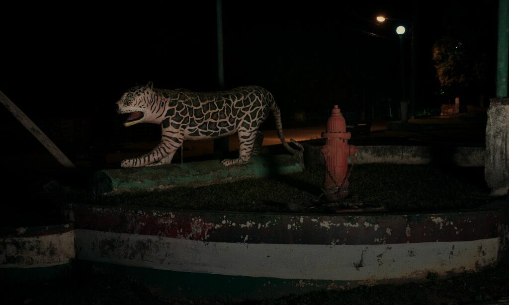 Fordlândia Panacea