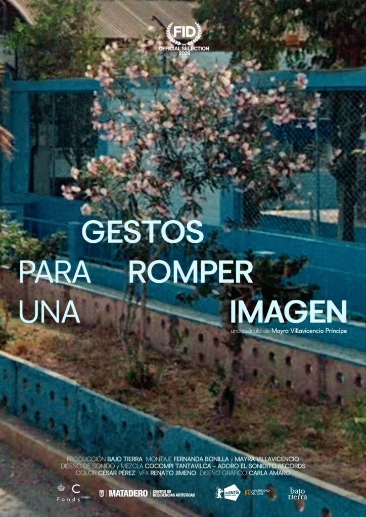 Afiche de Gestos para romper una imagen