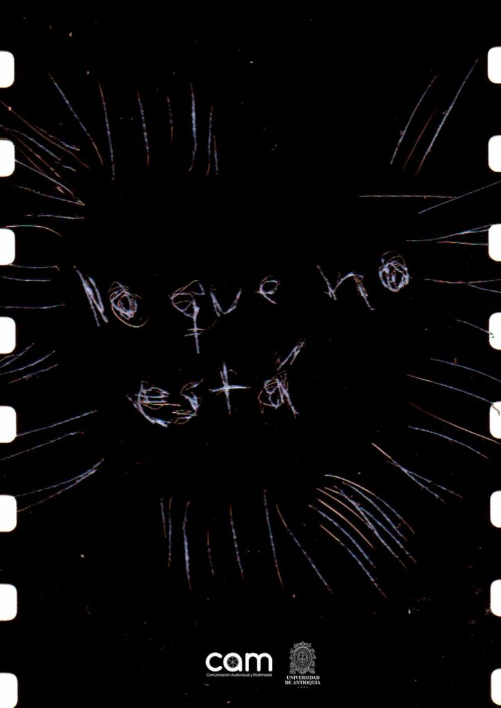 Afiche de Lo que no está