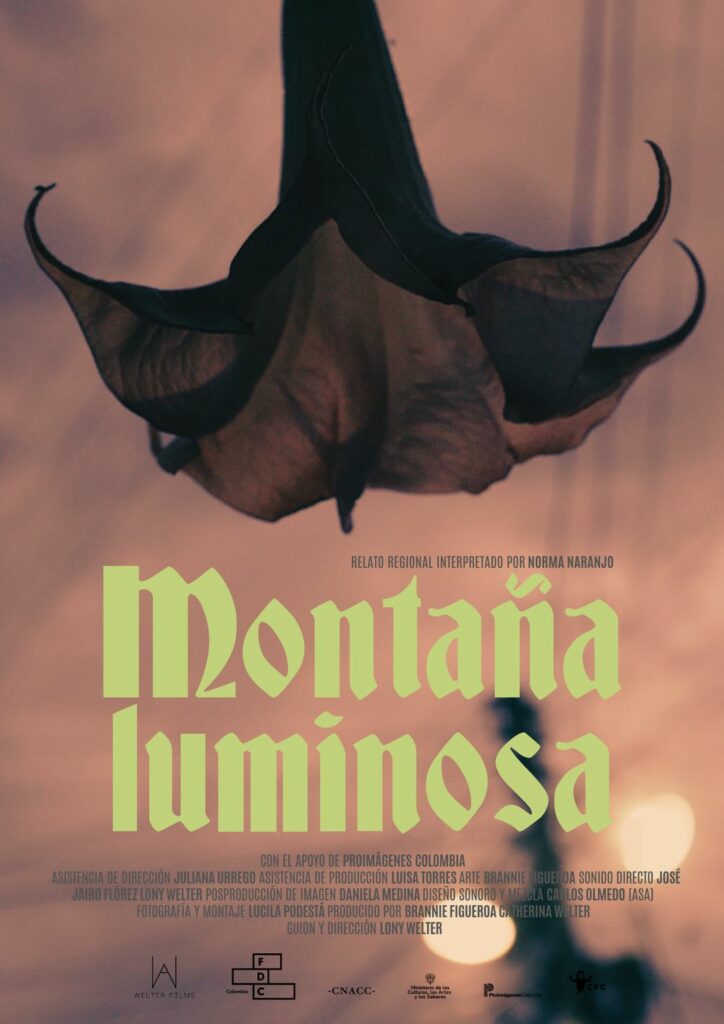 Afiche de Montaña luminosa