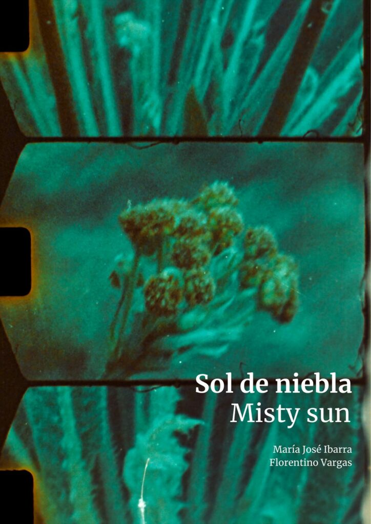 Afiche de Sol de niebla