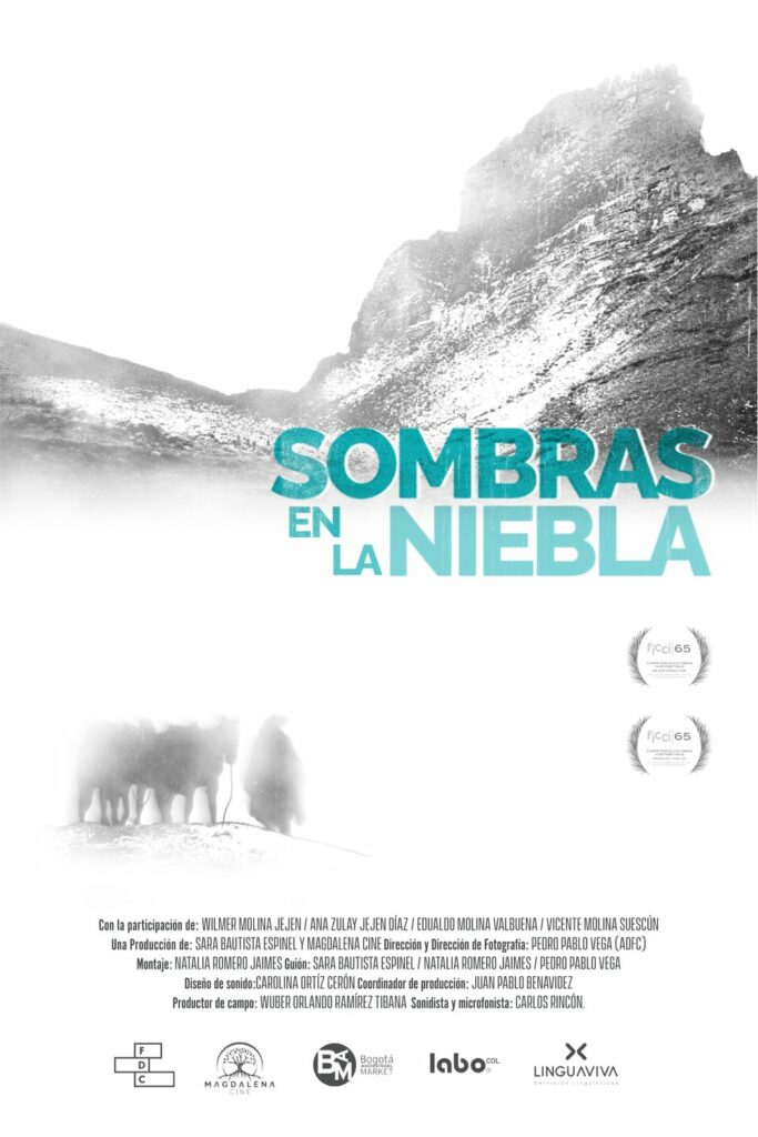 Afiche de Sombras en la niebla