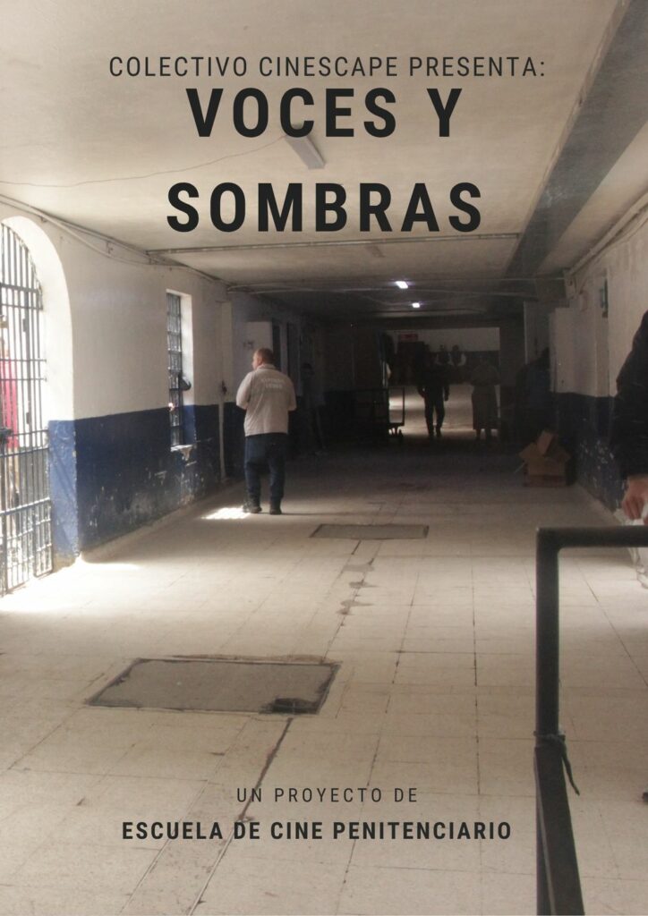 Afiche de Voces y sombras