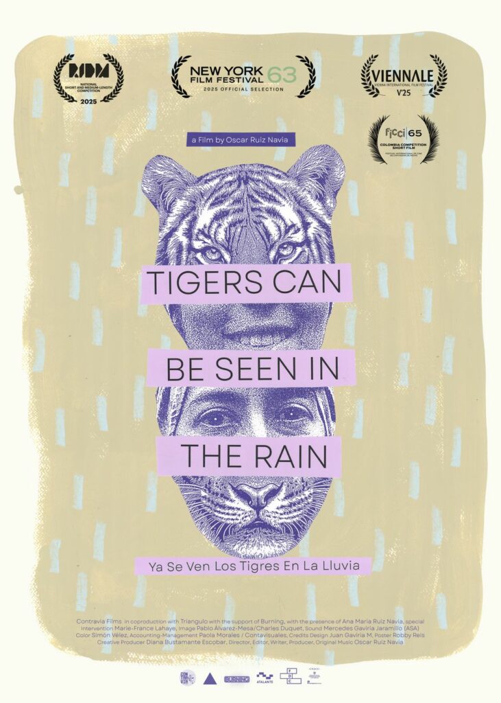 Afiche de Ya se ven los tigres en la lluvia